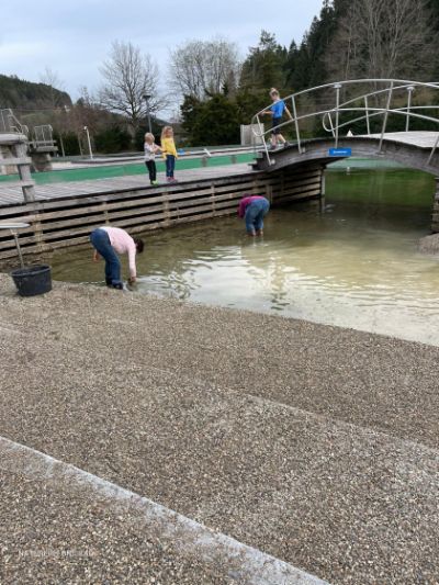 5c964d73-505e-40ad-9ba7-2dc0bf619ea6