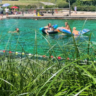 a693eef0-0472-4119-959c-065e19f28d72