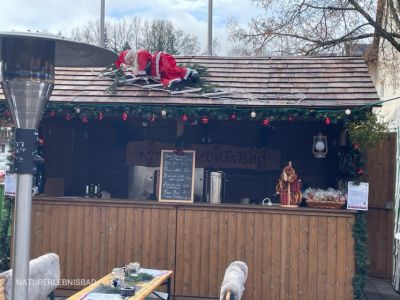 1c8e0028-5cf3-4316-96fa-79e2ca23b307