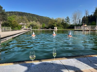 c7d3b1d8-0e5f-4208-b0f7-c51e88203d4e