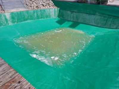 a5211b00-022e-4893-89c6-3a3282a29c6f-1